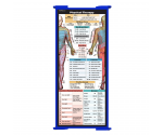 WhiteCoat Clipboard® Trifold - Blue Physical Therapy Edition